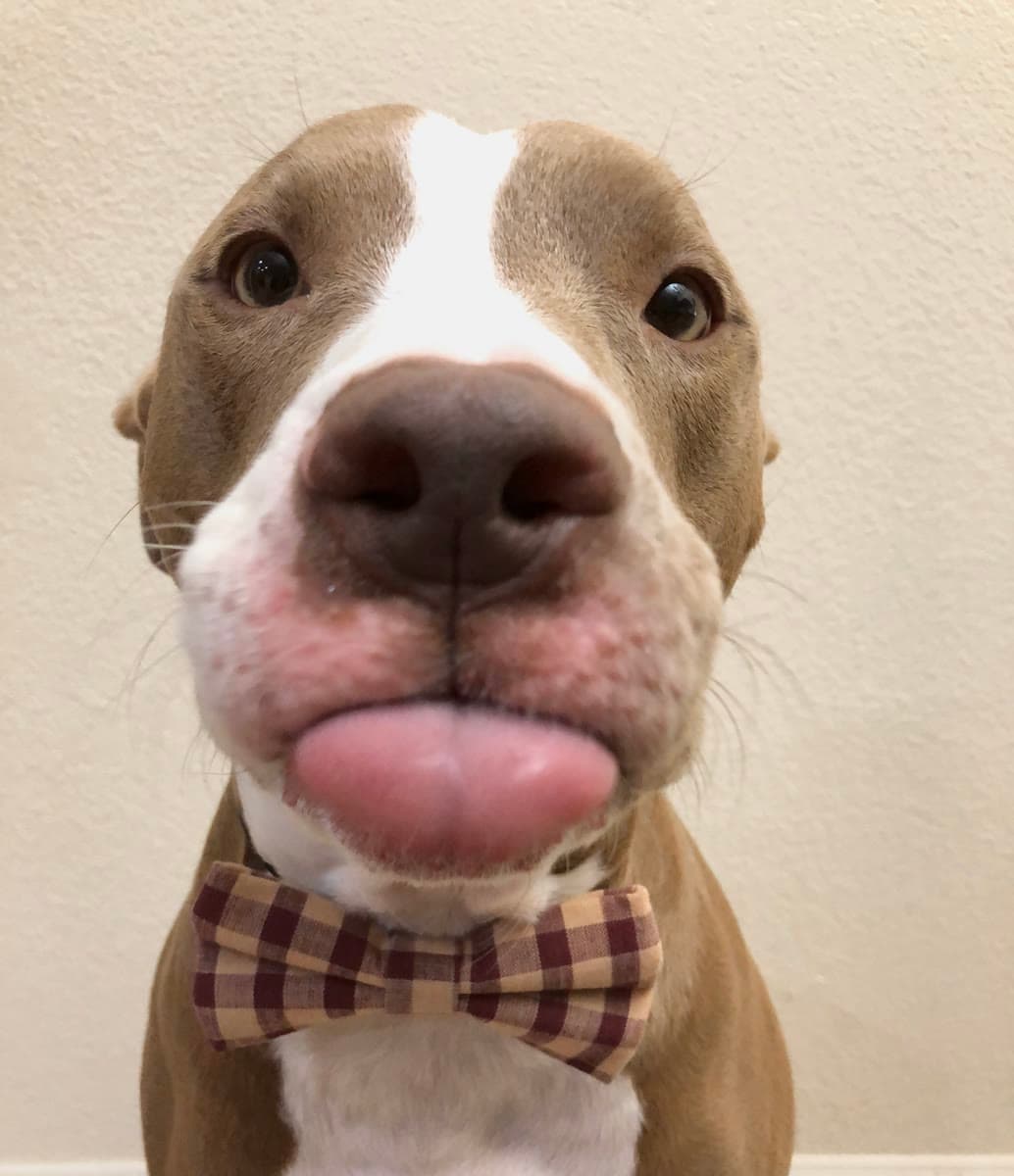 Knight, Mlem Mondays still 1