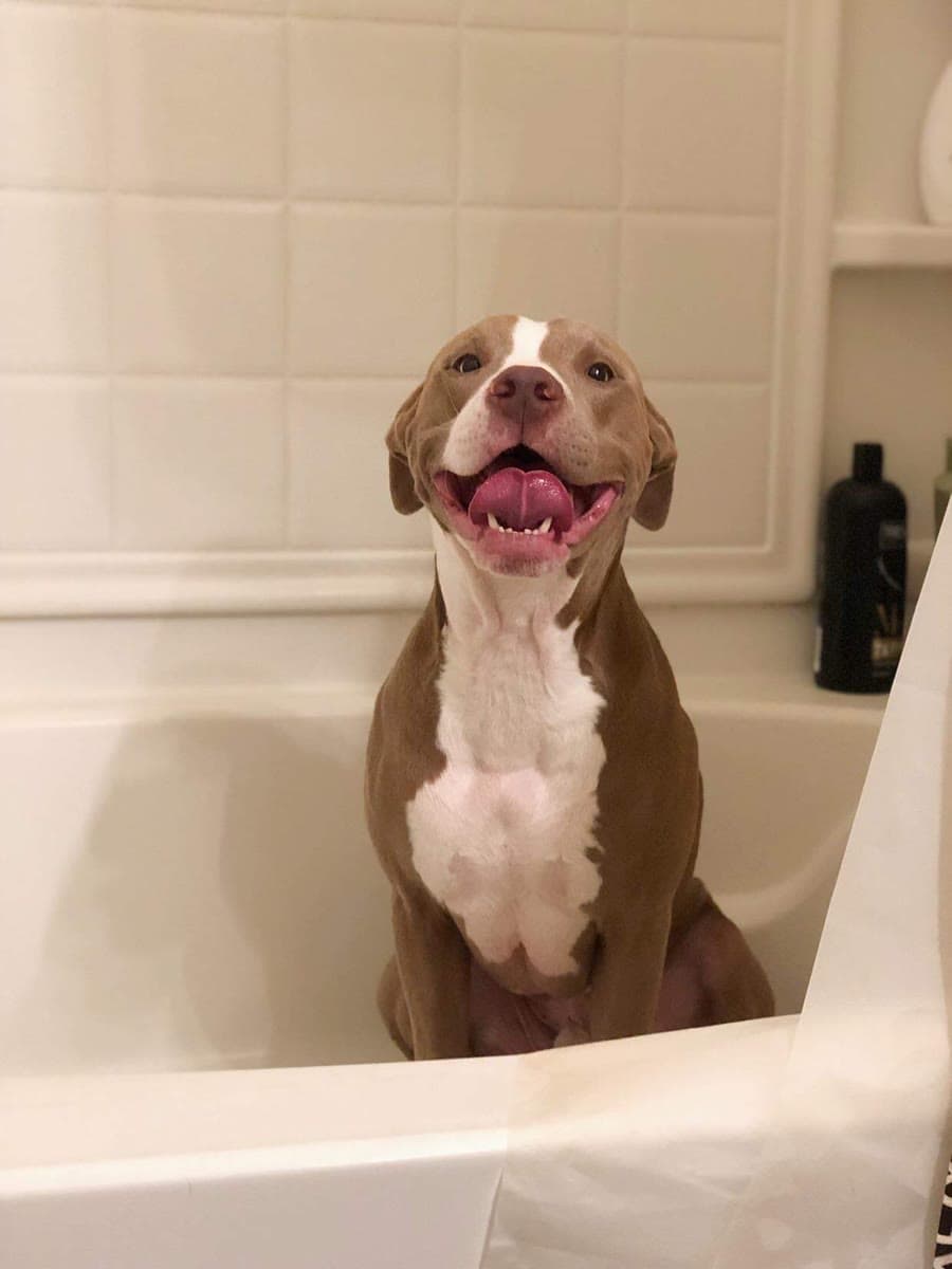 Knight, Mlem Mondays still 2