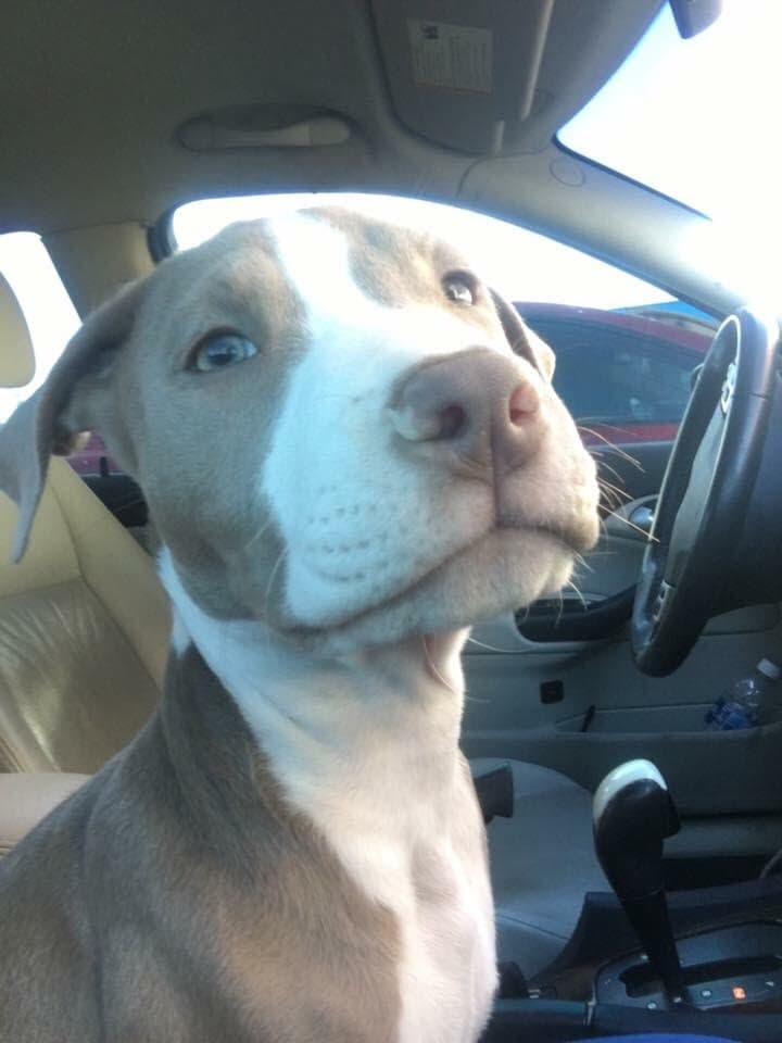 Knight, Mlem Mondays still 3