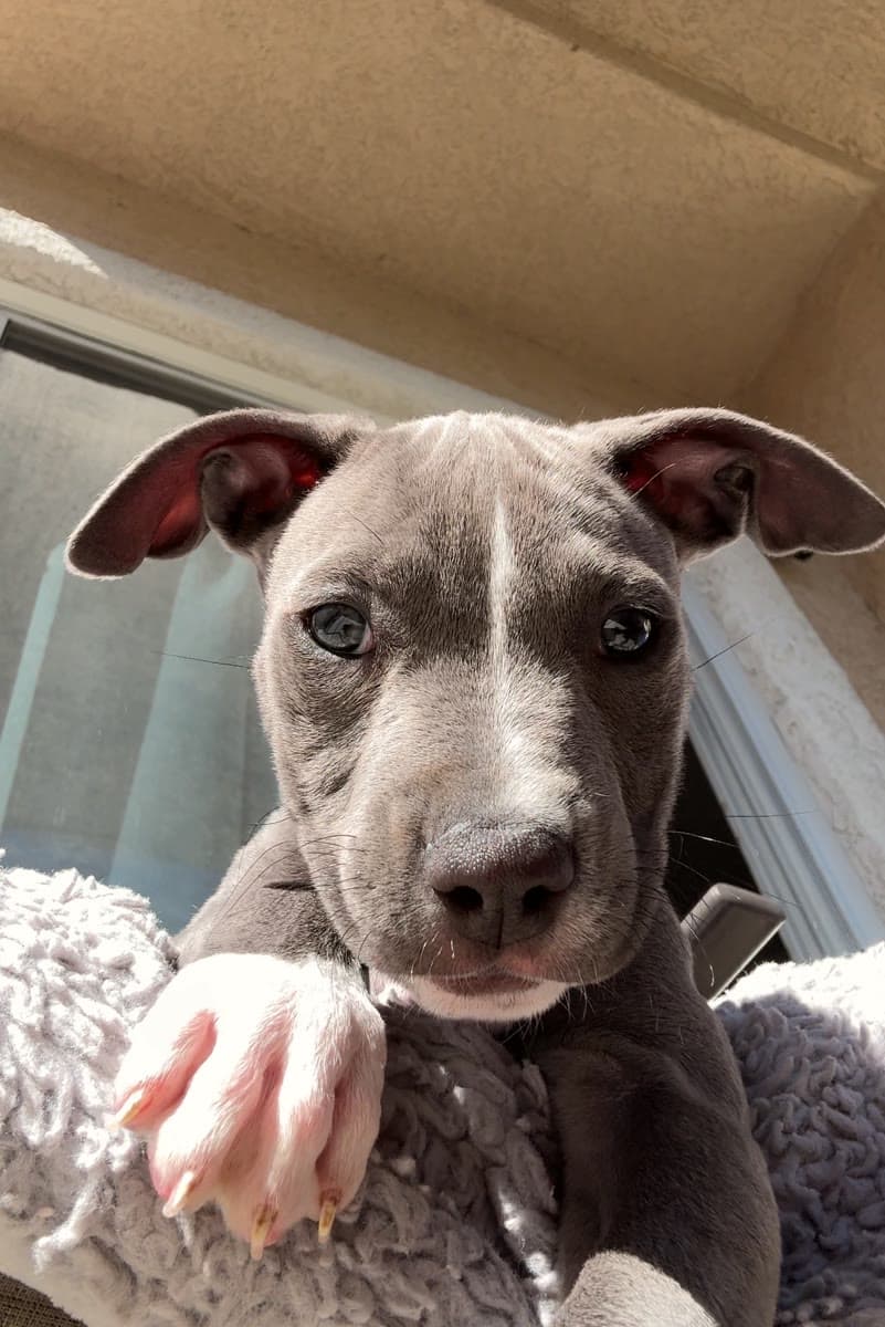 Stormi, Winning Knight Over still 3